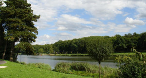 Creutzwald propose des maisons populaires entre lac et forêts